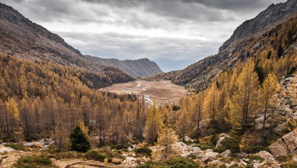 Ntore veritatis quasi beatae vita
